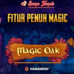 Slot Magic Oak