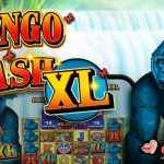 Congo Cash XL