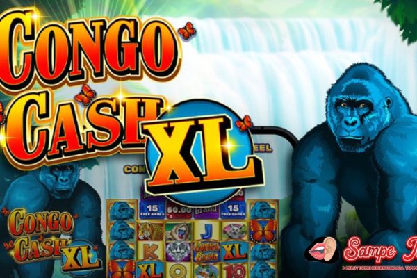 Congo Cash XL