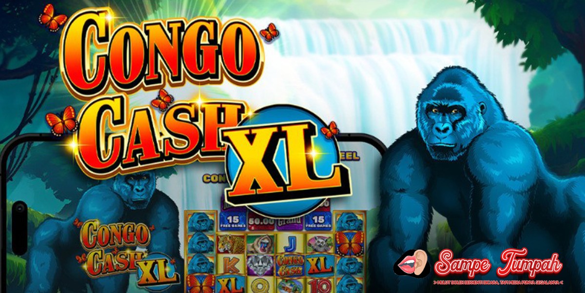 Congo Cash XL