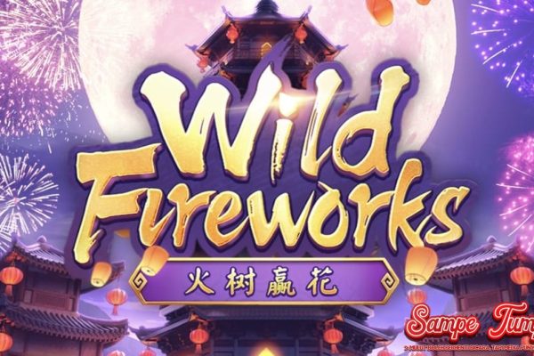 Wild Fireworks Keren Abis! Pesta Kembang Api Bawa Hoki Gede!