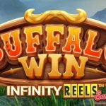 Buffalo Win: Dari Newbie Hingga Expert, Semua Bisa Cuan!