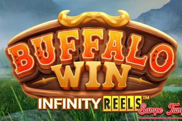 Buffalo Win: Dari Newbie Hingga Expert, Semua Bisa Cuan!