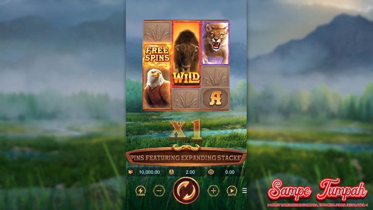 Buffalo Win: Dari Newbie Hingga Expert, Semua Bisa Cuan!