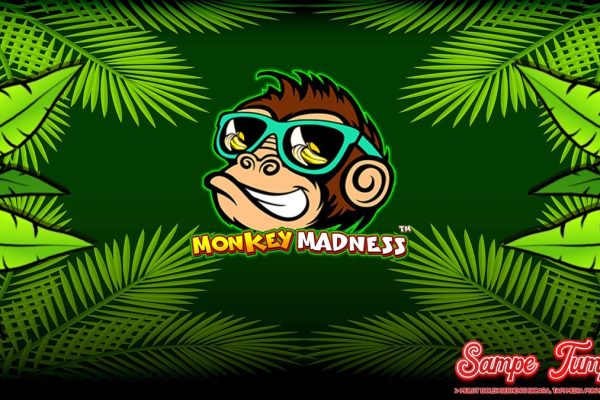 Monkey Madness: Primata Gacor Siap Mengguncang Dompet!