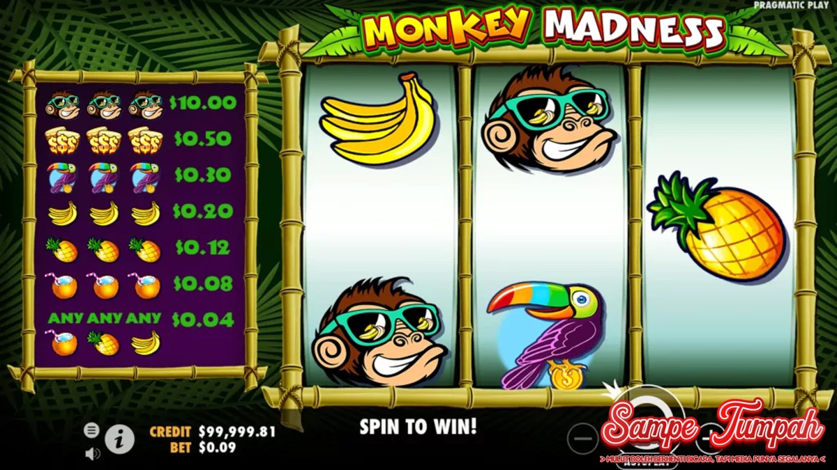 Monkey Madness: Primata Gacor Siap Mengguncang Dompet!