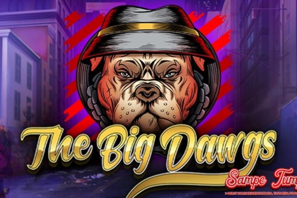Terjebak di Dunia Anjing Hoki? Cari Harta di Slot The Big Dawgs!