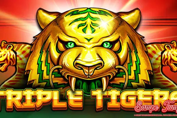 Raungan Triple Tigers: Menggetarkan Dunia Slot dengan Tsunami!
