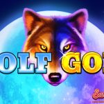 Wolf Gold dan Trik Slot Online yang Bikin Cuan Ngalir Deras!