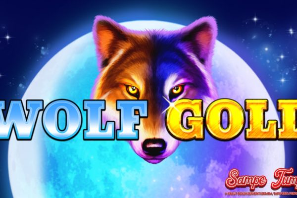 Wolf Gold dan Trik Slot Online yang Bikin Cuan Ngalir Deras!