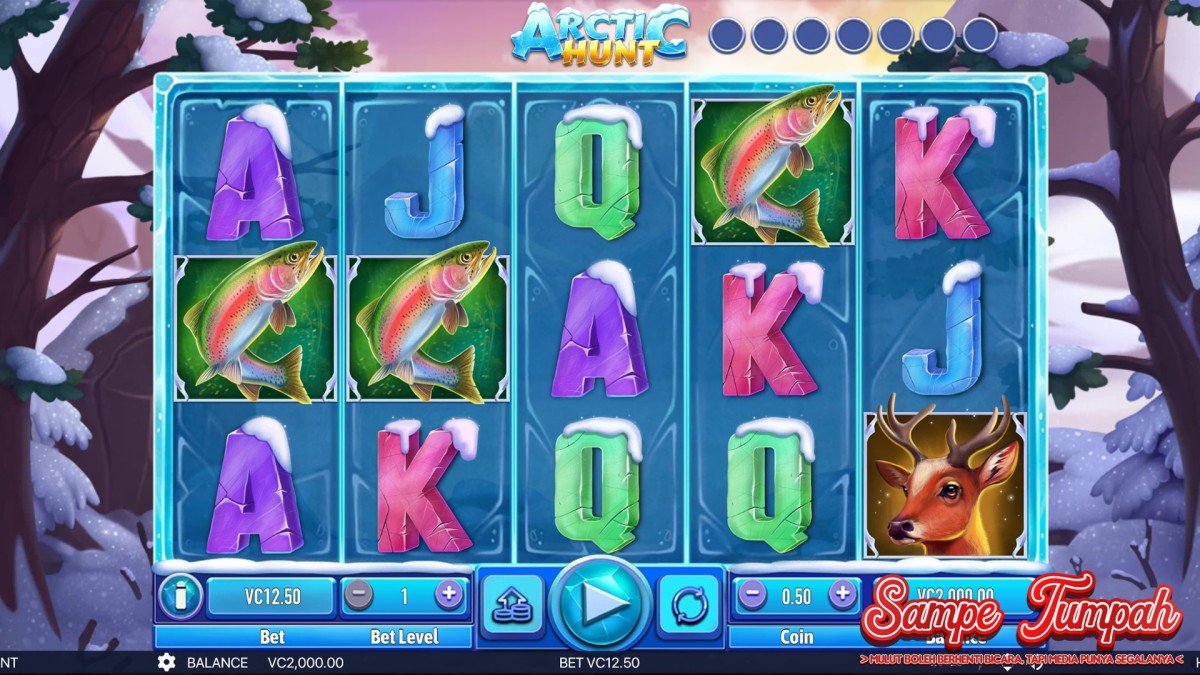 Arctic Hunt Frozen Treasure Eksklusif di Situs Ruby8000!