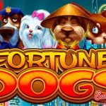 EXCLUSIVE! Slot Fortune Dogs Ruby8000 Login Auto JP 1000x