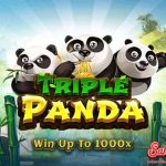 Slot Online Triple Panda 3 Panda Misteri Maxwin