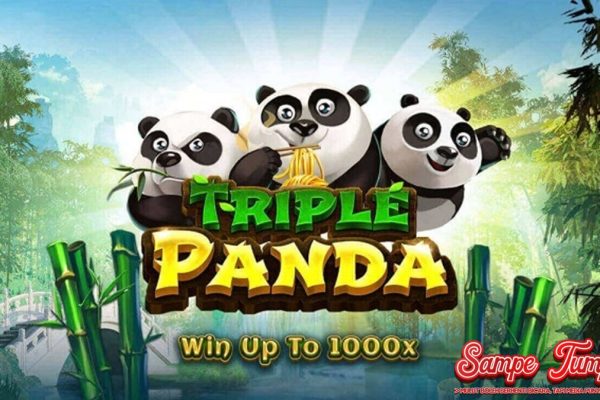 Slot Online Triple Panda 3 Panda Misteri Maxwin