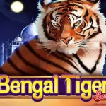 Bengal Tiger Si Skill Loreng Jagoan Gokil 3 Nyawa