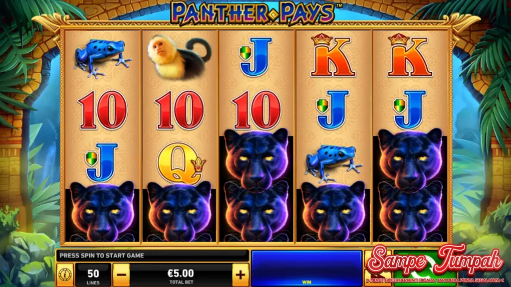 Panther Pays Lagi Ngetop Saiki Cerdas 99%!