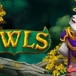 Owls Permainan Migrasi Tepat 85 Burung Hantu