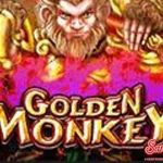 Golden Monkey Versi Mahal di Paytable 10jt!