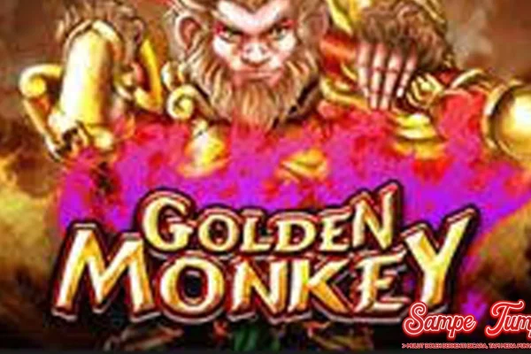 Golden Monkey Versi Mahal di Paytable 10jt!