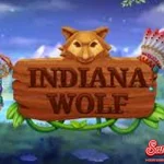 Indiana Wolf 15 Keberuntungan Tebal Banget